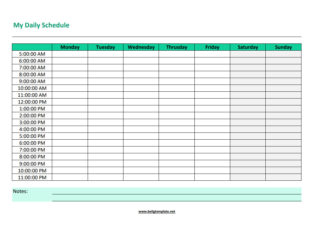 Daily schedule template featuring hourly breakdowns for each day of the week.